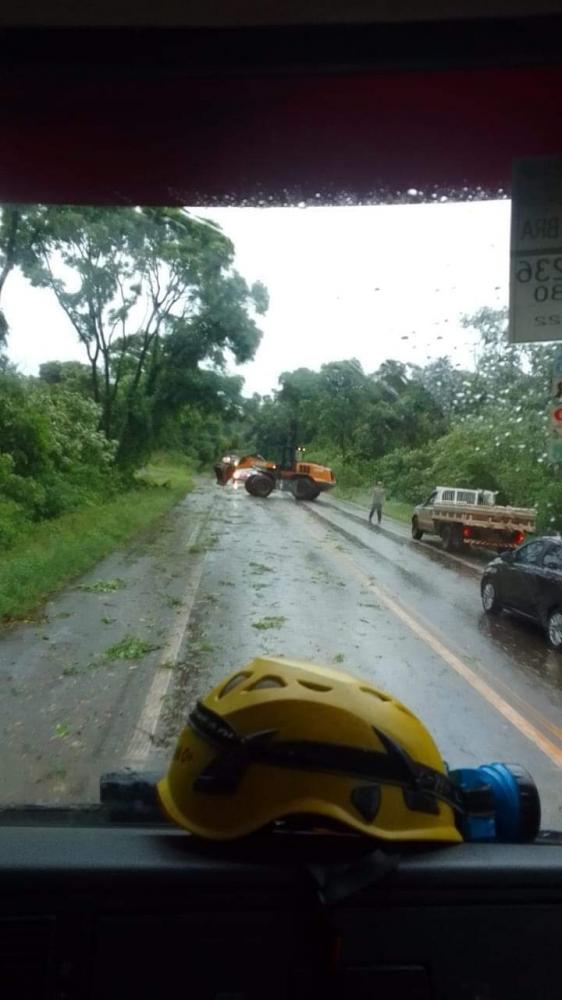 Bombeiros trabalharam a manhã toda na desobstruções de rodovias em Palmeira das Missões