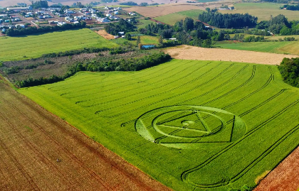 Desenhos misteriosos surgem em plantação de trigo no Oeste de SC