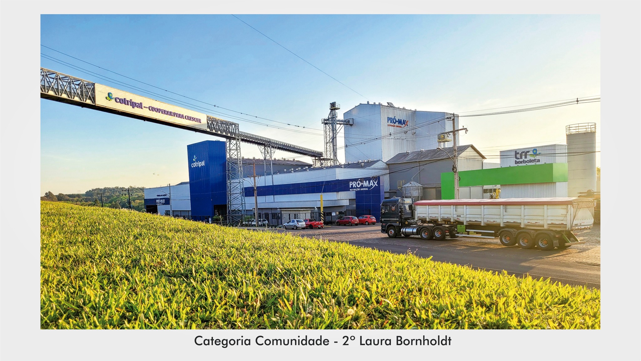 COMEMORANDO 65 ANOS, COTRIPAL PROJETA GRANDES INVESTIMENTOS