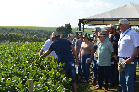DIA DE CAMPO COTRIPAL CULTURAS DA SOJA 2026