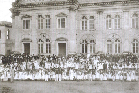 Conheça a história do Dia da Árvore